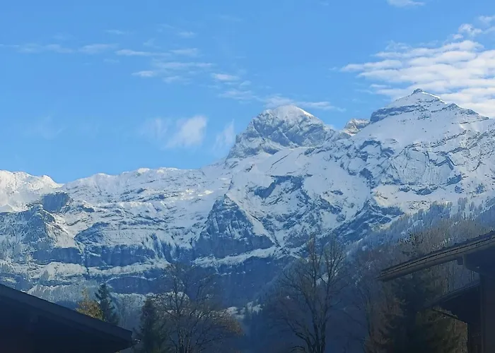 Unique By Interhome 公寓