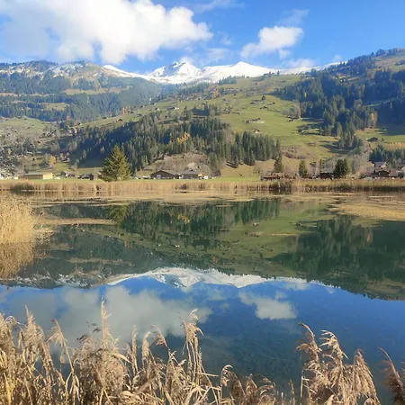 Unique By Interhome Lenk