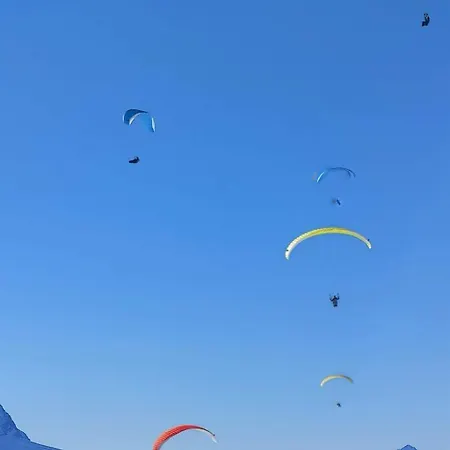 Unique By Interhome * Lenk