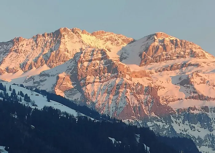 Unique By Interhome * Lenk